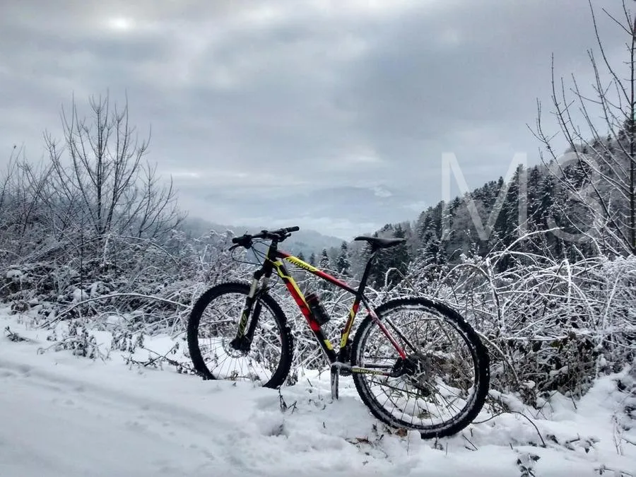 A mountain bike parked in fresh snow on a wooded hillside